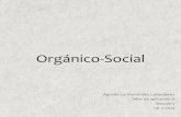 Orgánico Social Cochrane