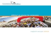 Raport anual 2013 - Fundaţia Comunitară Sibiu