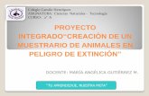 Proyecto TIC Fauna chilena en peligro de extinción 2° Básico A