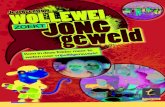 Jeugdcentrum Wollewei zoekt Jong Geweld !