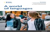 Soggiorni linguistici per dirigenti e professionisti