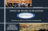 Broșura Vizitelor de Studiu la Bruxelles