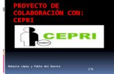 Proyecto de colaboración con CEPRI