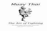 Muay Thai the Art of Fighting