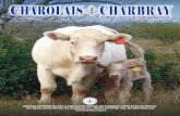 Revista charolais charbray oct 2014