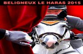 Catalogue des étalons 2015 - Béligneux Le Haras