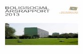 Boligsocial Årsrapport 2013