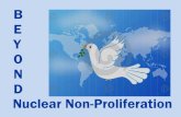 Beyond Nuclear Non-Proliferation