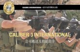 2015 caliber 3 company overview & capabilites brief (chn)