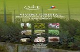 Vivero Forestal: Produccion de Plantas Nativas a Raiz Cubierta