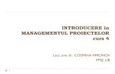 Management de proiect_o alta viziune