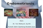 Endometriosis Revisi