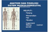 Anatomi Dan Fisiologi Sistem Muskulo Skeletal Wika