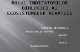 Proiect Ppt Rolul Indicatorilor Biologici