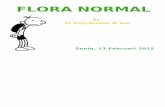 015 Flora Normal [Dr.enny]