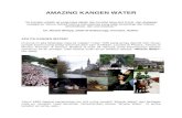 Amazing Kangen Water