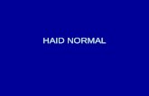 Haid Normal