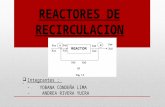 2 Reactores de Recirculación y Reactores en Cascada