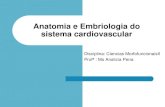 Aula 01 Anatomia e Embriologia Cardiaca