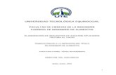 Marco Teórico y Metodología Bocaditos de Zucchini