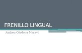 Frenillo Lingual