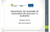 PROCESUL DE INOVARE ÎN REGIUNEA DE SUD-EST A EUROPEI.pdf