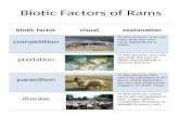 Biotic Factors examples
