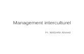 Cours de Management Interculturel