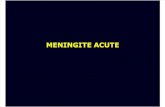 8-9. Meningite