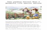 Buku Panduan Harvest Moon a Wonderful Life Special Edition