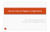 Uso do Lodo de Esgoto na Agricultura.pdf
