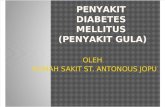 Powerpoit Diabetes Militus Gg