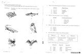 HKCEE Biology 1991-2