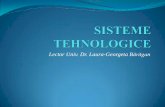 Sisteme-tehnologice Cap1 Online