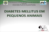 Diabetes Mellitus Em Cães