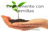 Semillas, Experiments