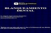 Setmana Es 200310 Dental 01