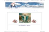 Newsletter948.Mes Consagrado a María Santísima