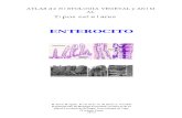 Atlas de Histología Vegetal y Animal Tejidos Tipos Celulares