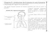 Production de la parole et voix humaine.pdf