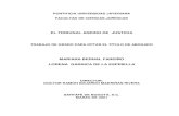 ACCIONES NULIDAD, PREJUDICIAL (1).desbloqueado.pdf