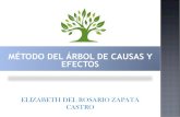 Arbol de Causas- Elizabeth Zapata-PDF