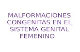 MALFORMACIONES CONGENITAS FEMENINAS
