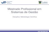 Metodologia MSG (1)
