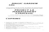 Strategie Magic Garden SRL