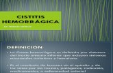 Cistitis Hemorragica. Curso Oncologia