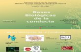Bases Biologicas de La Conducta Humana (2)