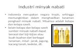 Industri Minyak Nabati