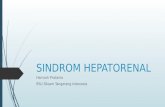 SINDROM HEPATORENAL