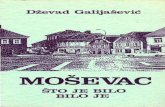 Dževad Galijašević - Moševac (Što je bilo - bilo je)